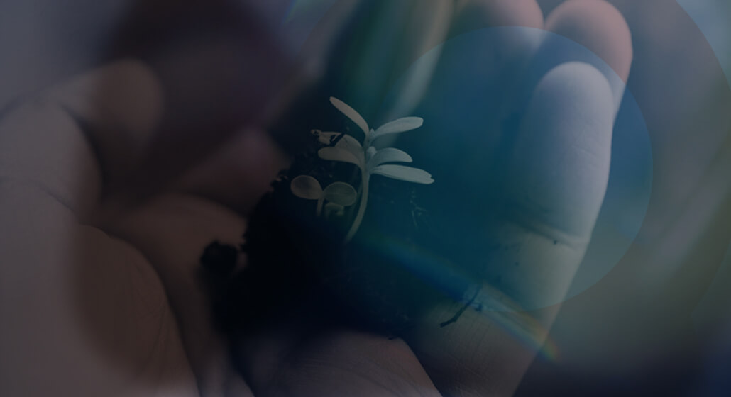 O que é tráfego orgânico e o papel do blog nessa estratégia O que é tráfego orgânico e o papel do blog nessa estratégia